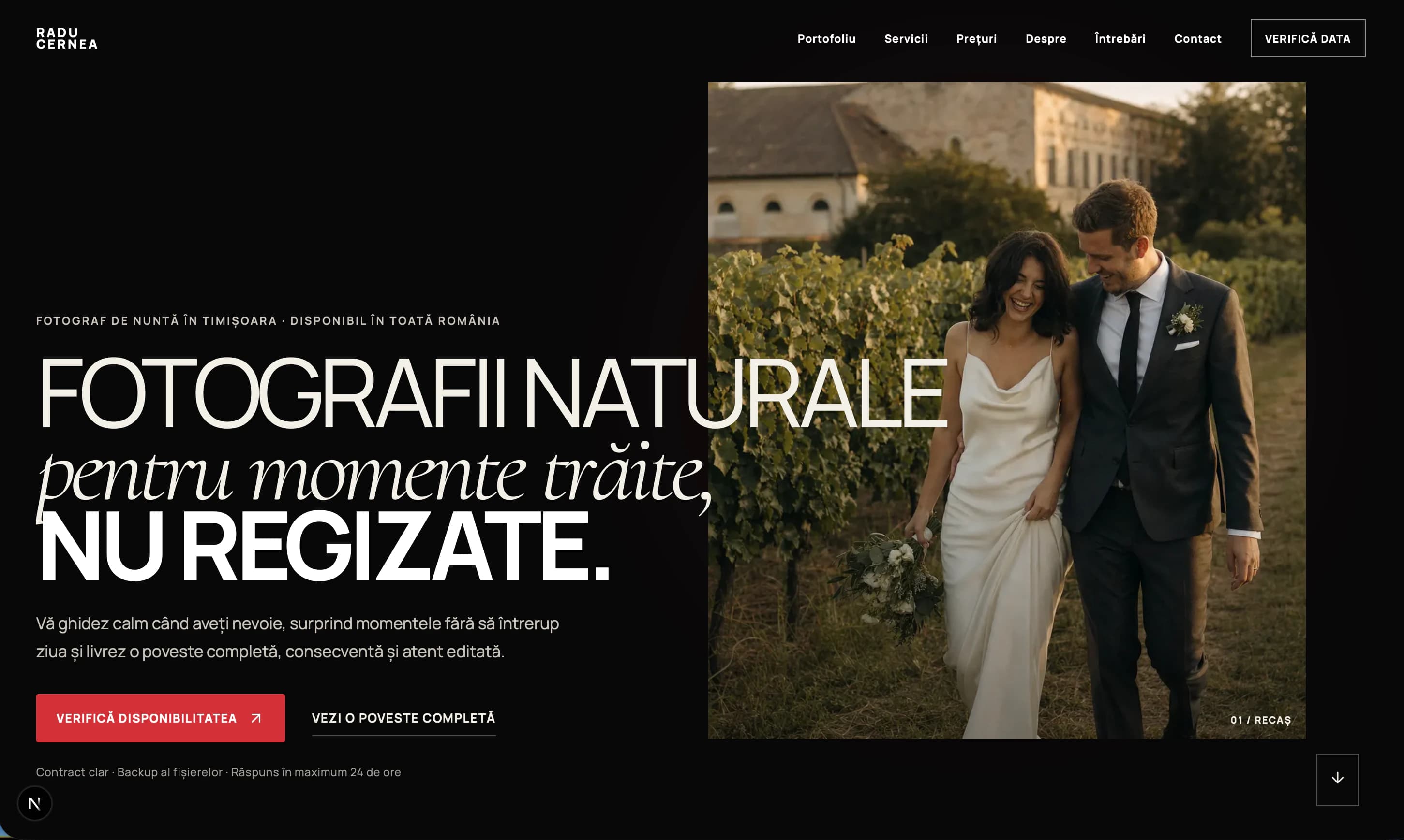 Hero website Radu Cernea