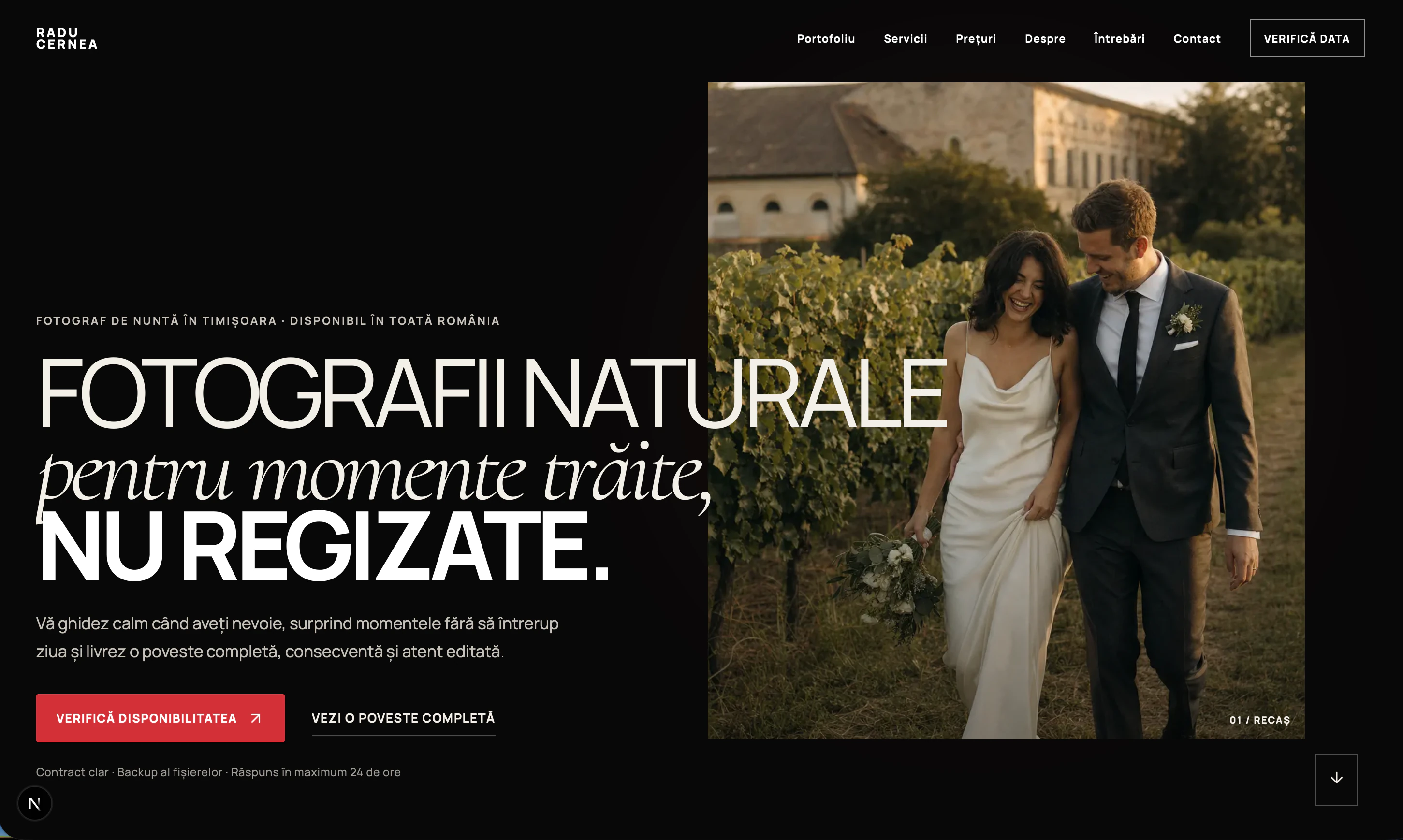 Hero website Radu Cernea